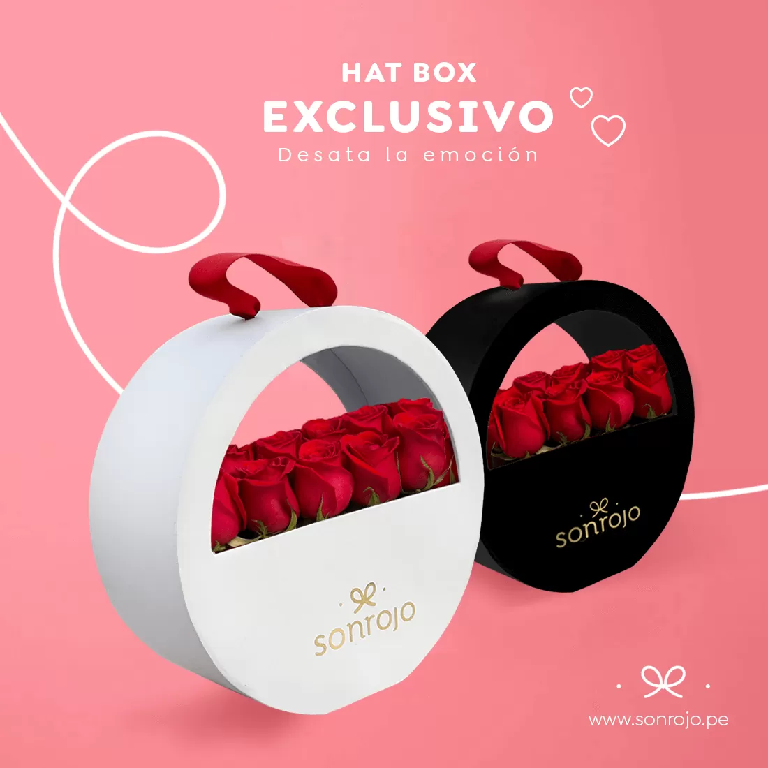 Circle Box Premium