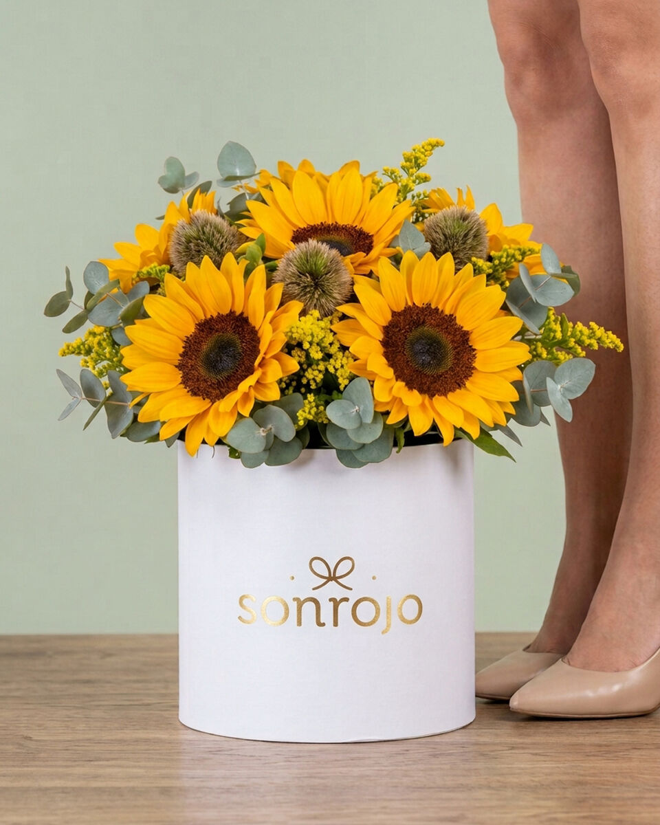 Box Radiante Girasoles