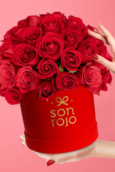 Box Sonrojo