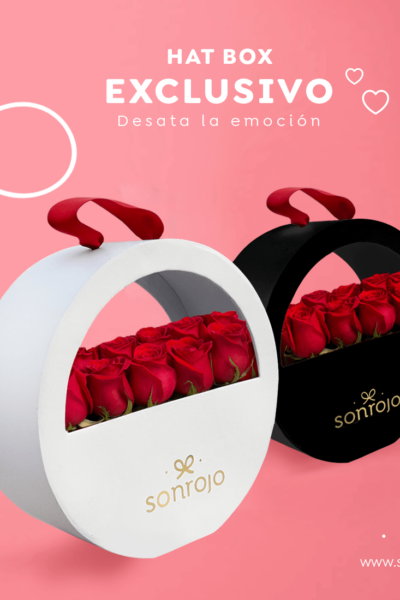 Circle Box Premium