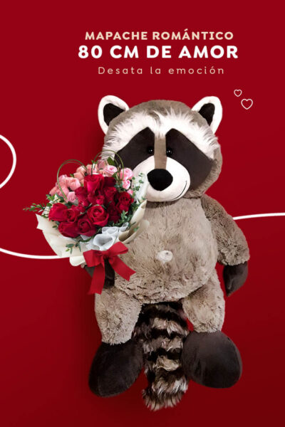 Mapache Romántico
