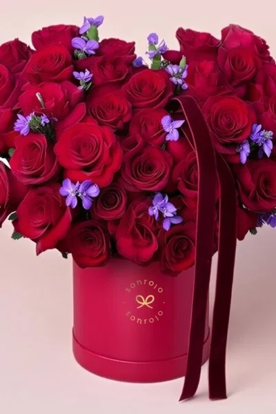 Red Elegant